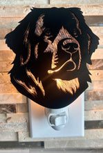 Load image into Gallery viewer, Newfoundland Newfie Dog Night Light