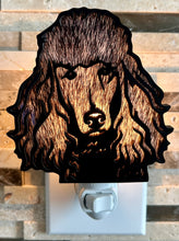Load image into Gallery viewer, Poodle Dog Night Light - Black