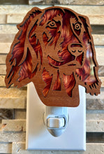 Load image into Gallery viewer, Irish Setter Dog Night Light